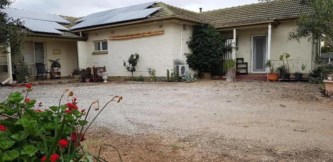 Unit In Marion Lejlighed Sturt Australien
